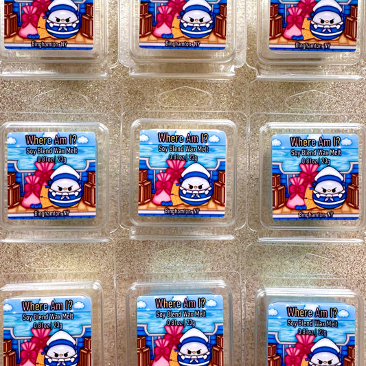 Where Am I? Wax Melt Sample